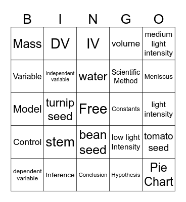 Biology Scientific Method Bingo Card