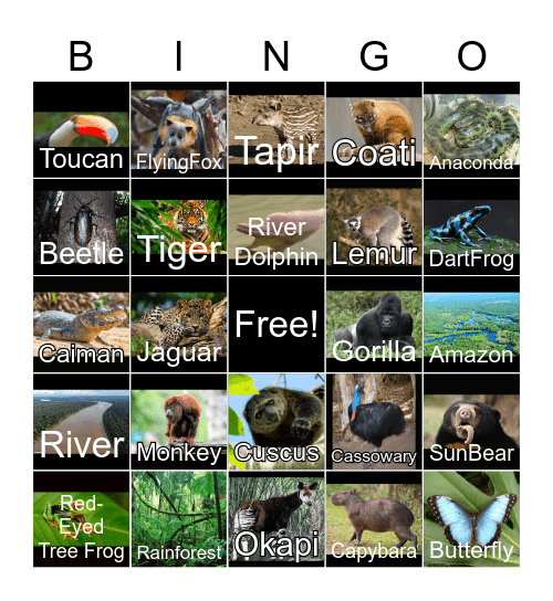 Rainforest Bingo Card
