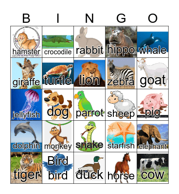 Animals Bingo Card