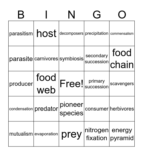 Ecogolgy II Bingo Card