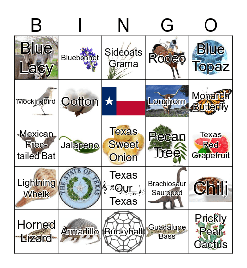 Texas Bingo Card