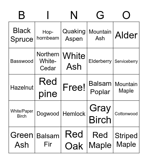 Northeast Kingdom Tree Bingo Card