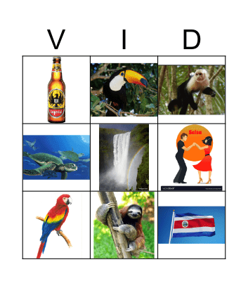 COSTA RICA BINGO Card