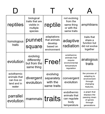 evolution Bingo Card