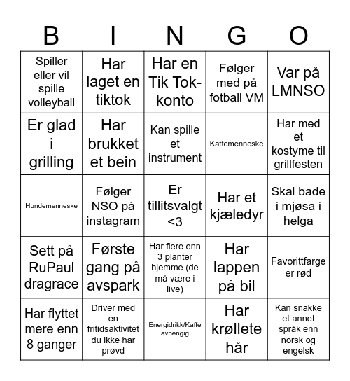 NSO Avspark Bingo Card