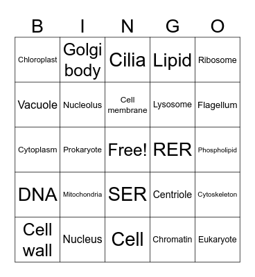 Cell Structure Bingo Card