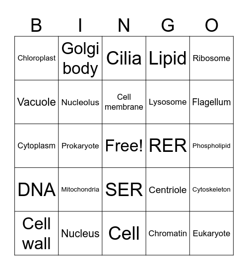 Cell Structure Bingo Card