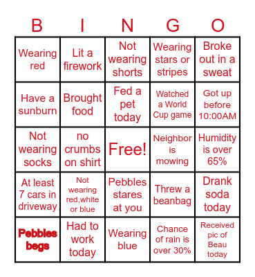 4th of July Bingo Card