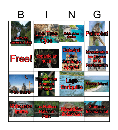 Dominican Republic Bingo Card