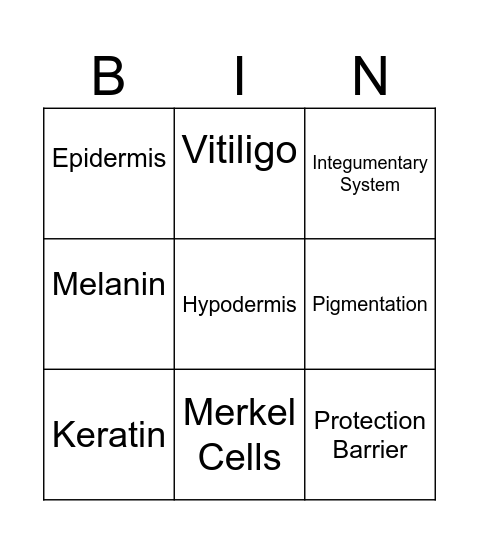 Intergumentary System Bingo Card