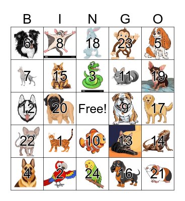 Pets Bingo Card