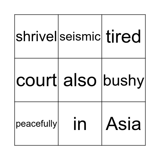 Word type Bingo Card