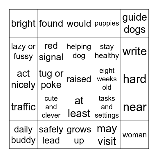 From Puppy to Guide Dog Bingo Card