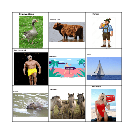 Sluizen-Bingo Card