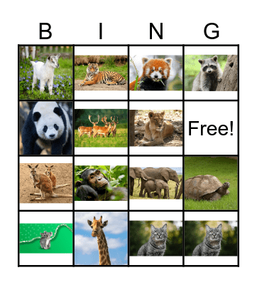 Animal BINGO Card