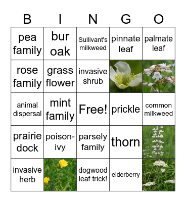 PRAIRIE BINGO Card