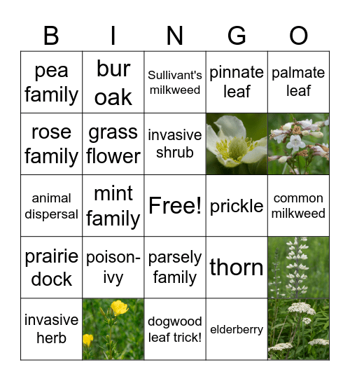 PRAIRIE BINGO Card