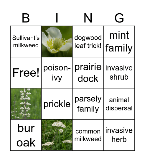 PRAIRIE BING(?) Bingo Card