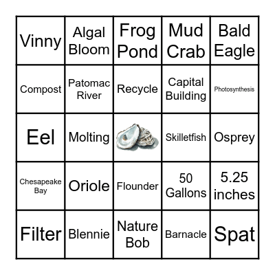 Camp Creation Bingo Card