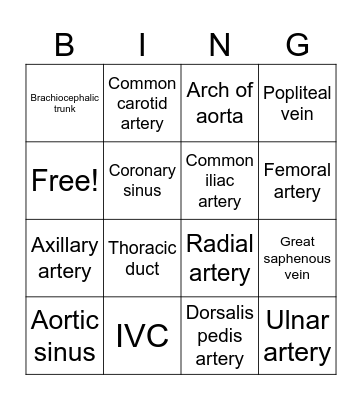 Vessels of the body Bingo Card