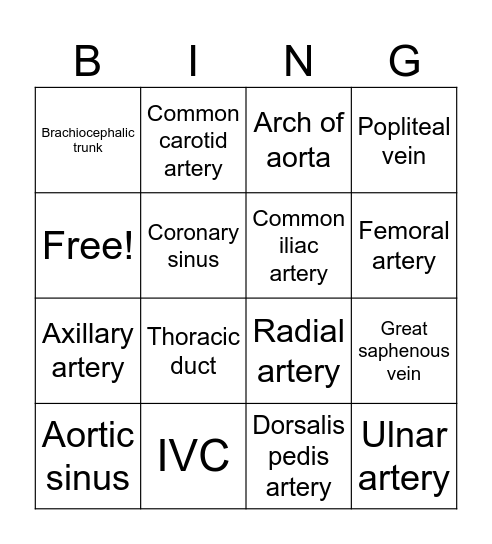 Vessels of the body Bingo Card