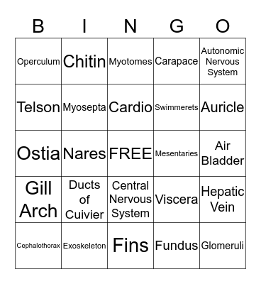 Perch Bingo Card