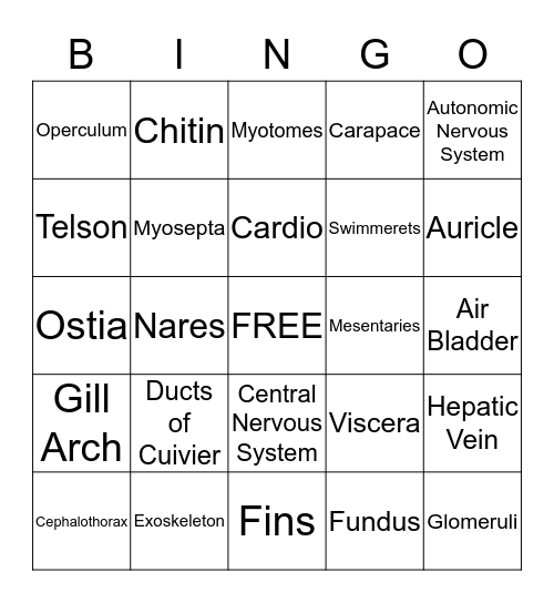 Perch Bingo Card