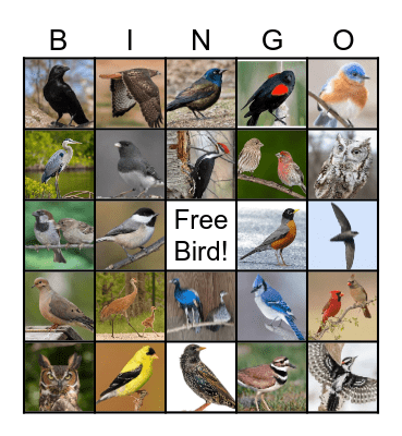 Songbird Bingo Card