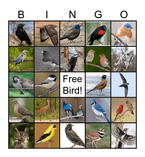 Songbird Bingo Card