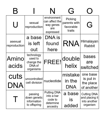 Topic 4: Genetics Bingo Card