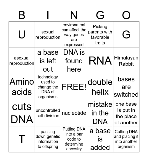 Topic 4: Genetics Bingo Card