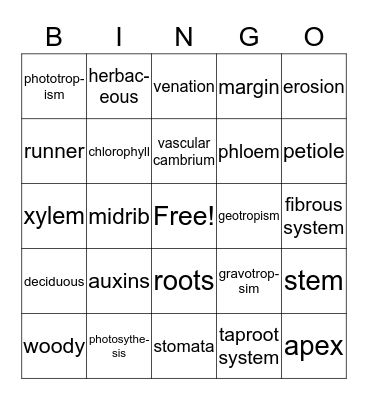 Botany Review ch.1-8 Bingo Card