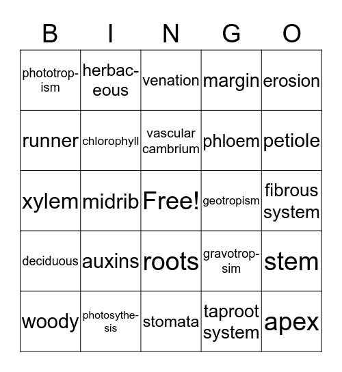 Botany Review ch.1-8 Bingo Card