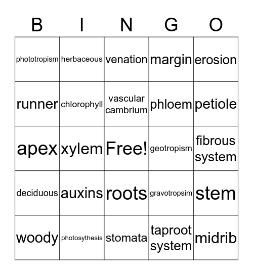 Botany Review ch.1-8 Bingo Card