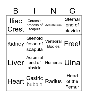 Radiology 101 Bingo Card