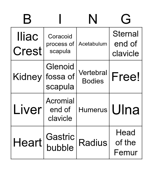 Radiology 101 Bingo Card