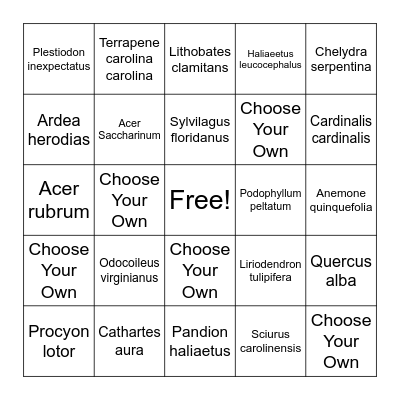 Pecometh Wildlife Bingo- Bingo Card