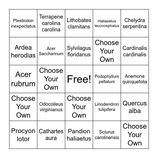 Pecometh Wildlife Bingo- Bingo Card