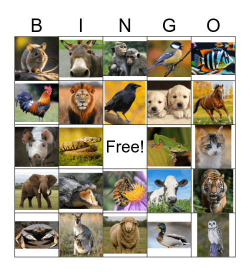 Animal Bingo Card