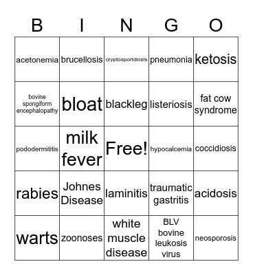 Animal Health Bingo Card