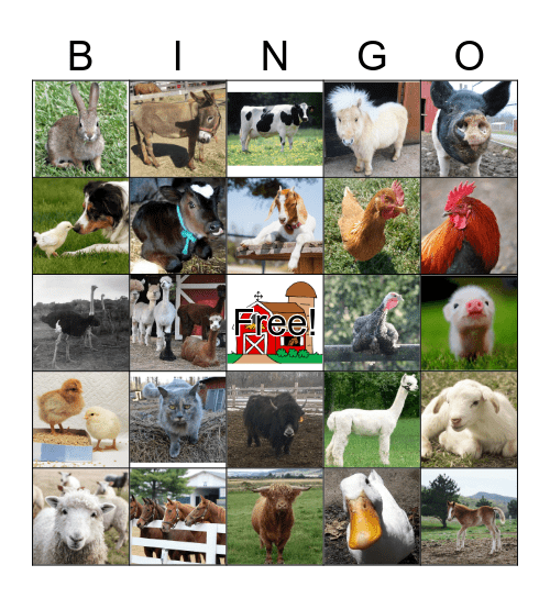 Farm Animal Bingo Card