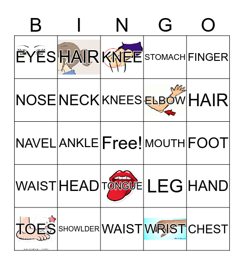 Body Parts Bingo Card