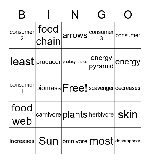 Food Chains, Webs, and Energy Pyramids Bingo Card