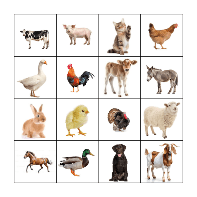 LOTERIA Bingo Card