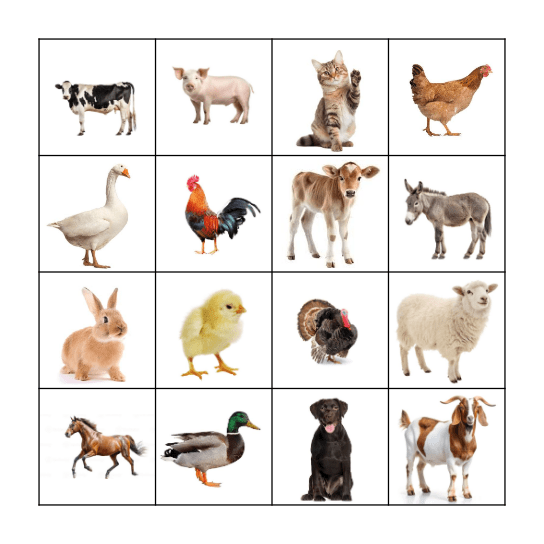 LOTERIA Bingo Card