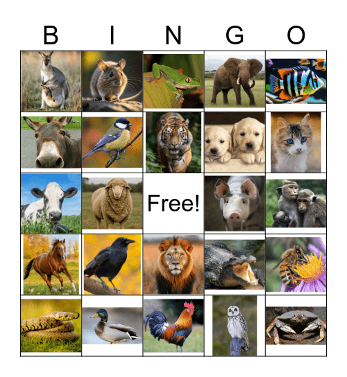 Animal Bingo Card
