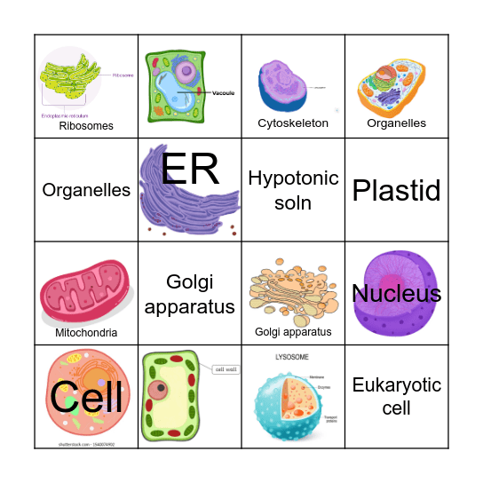 Fundamental Unit of Life Bingo Card