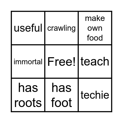 Plants Characteristic Bingo Card