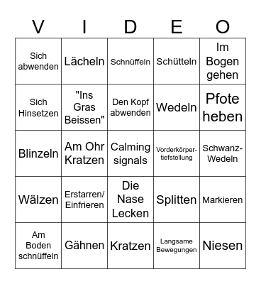 Signale Bingo Card