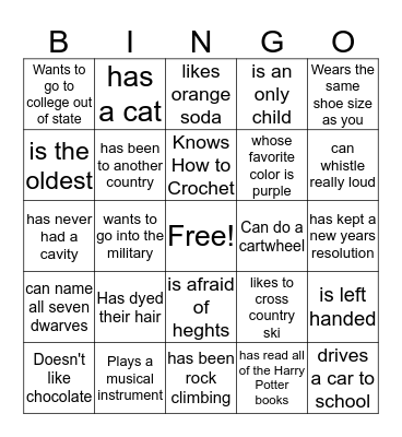 Icebreaker bingo  Bingo Card